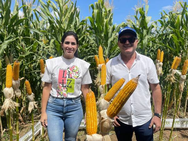Sítio Humaitá I, participando do dia de campo de milho Irrigado promovido pelo Programa PROSPERA.